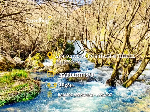 ΡΟΥΠΑΚΙ ΠΗΓΕΣ ΕΛΙΣΣΩΝΑ