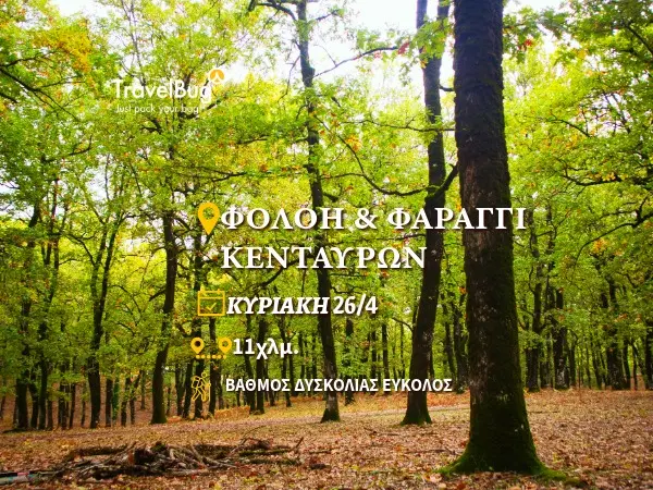 ΦΟΛΟΗ ΦΑΡΑΓΓΙ ΚΕΝΤΑΥΡΩΝ