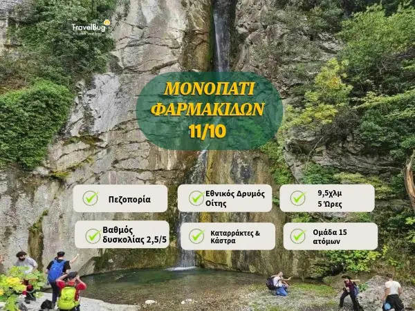 ΦΑΡΜΑΚΙΔΕΣ 26 600χ450