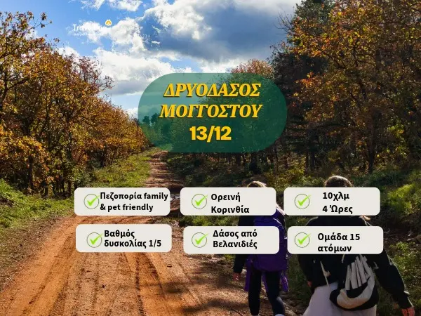 ΛΙΒΑΔΙ ΠΑΡΝΑΣΣΟΥ- ΚΩΡΥΚΕΙΟ ΑΝΤΡΟ- ΑΡΧΑΙΟ ΜΟΝΟΠΑΤΙ- ΔΕΛΦΟΙ -Μονοήμερη δράση πεζοπορίας με τους In The Mountains 19/1/2025 16 ΠΡΟΤΥΠΟ ΜΟΓΓΟΣΤΟΣ 1 ΔΡΥΟΔΑΣΟΣ ΜΟΓΓΟΣΤΟΥ 600χ450