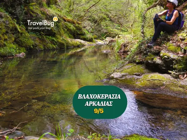 ΒΛΑΧΟΚΕΡΑΣΙΑ