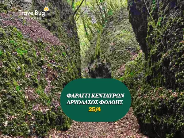 ΦΟΛΟΗ ΚΕΝΤΑΥΡΩΝ 1