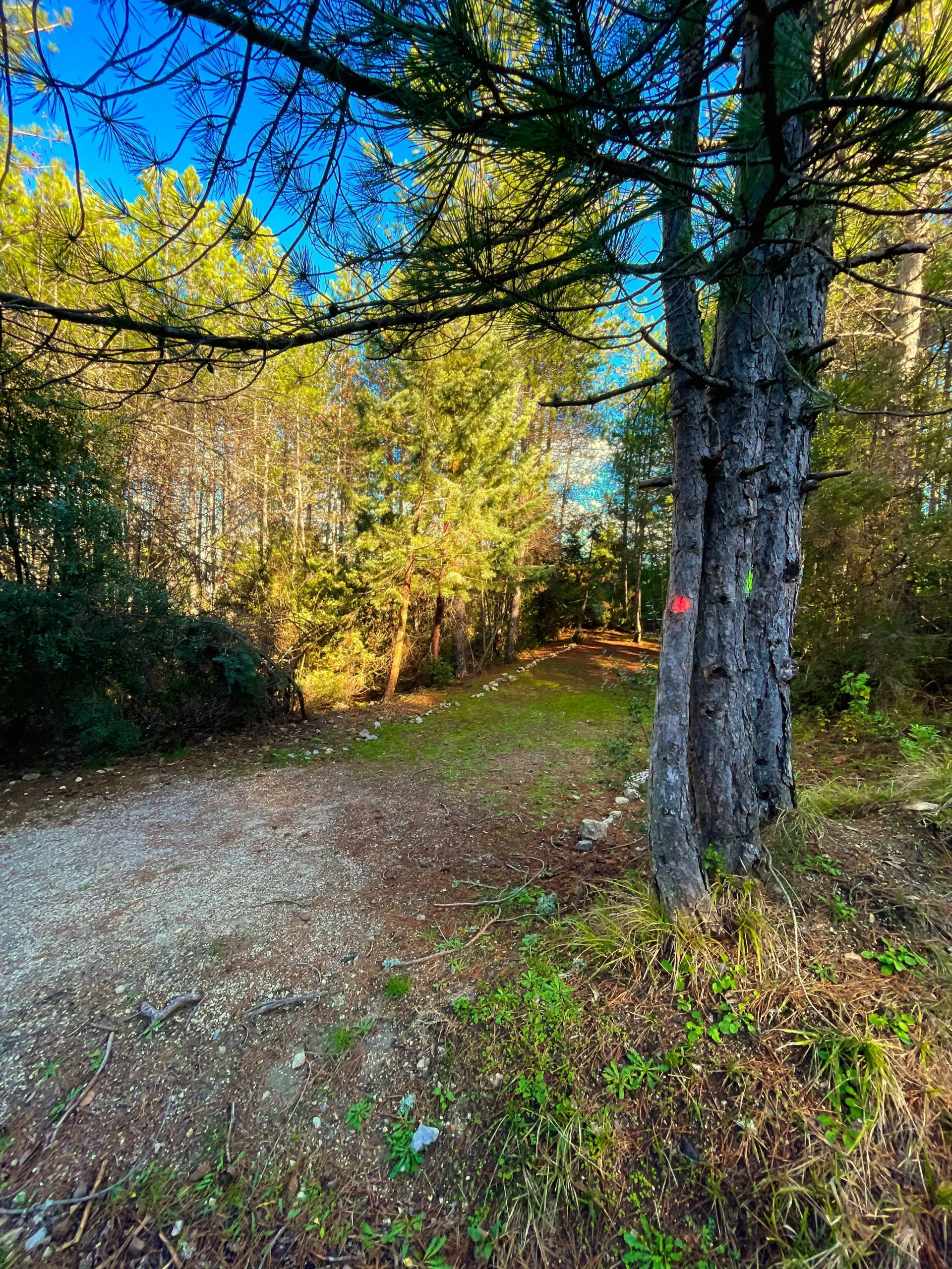 ΦΤΕΡΟΛΑΚΚΑ scaled